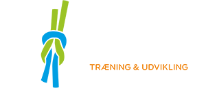FG Consult